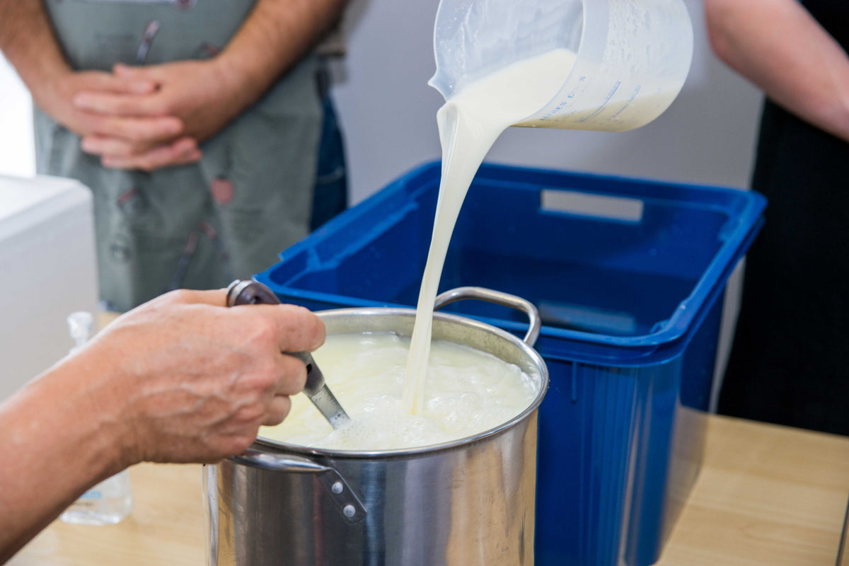 DIY Feta-Making Workshop