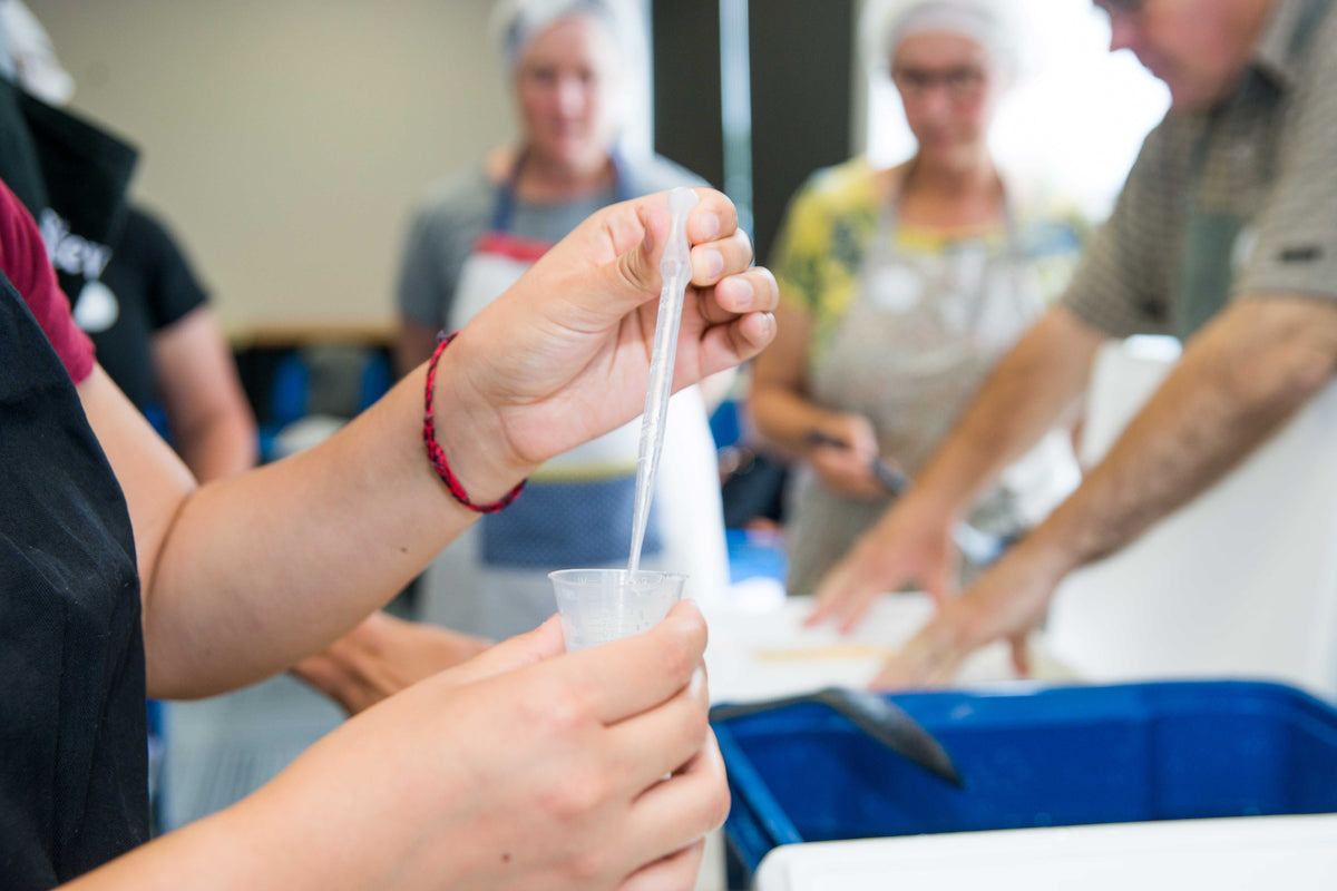 DIY Feta-Making Workshop