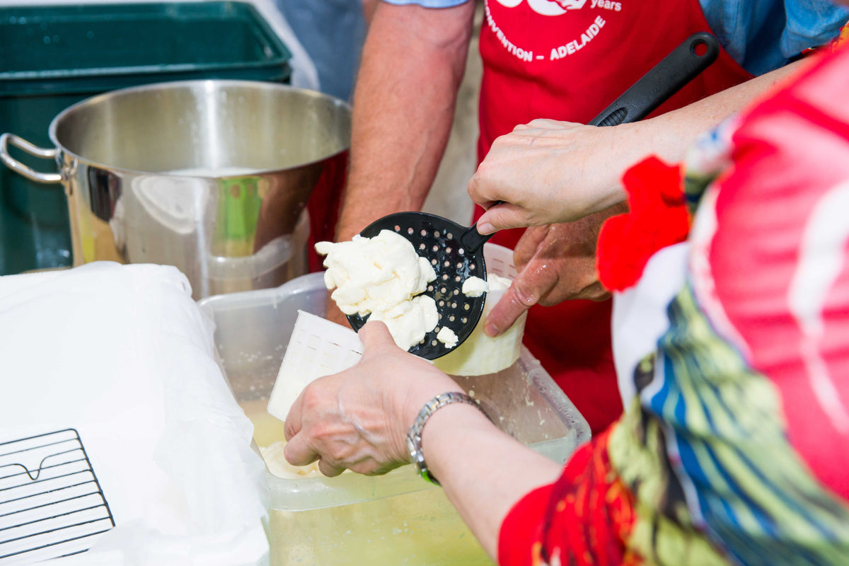 DIY Camembert-Making Workshop