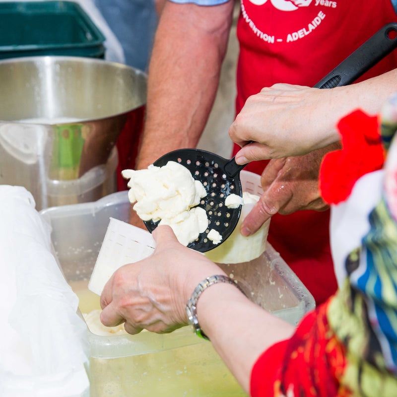 DIY Camembert-Making Workshop